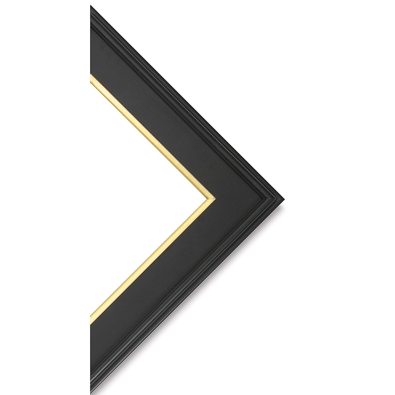 Blick Simplon Frame with Liner - 16" x 20" x 5/16", Black/Gold